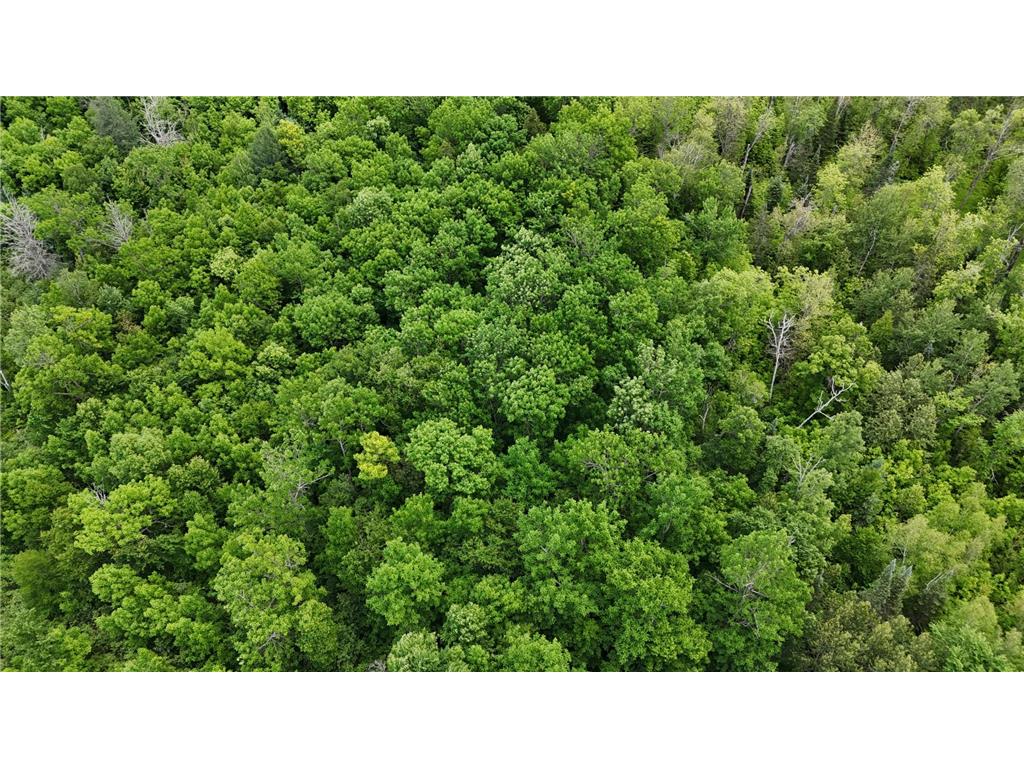 11840 Rice Haven Road Floodwood MN 55736 7093594 image19