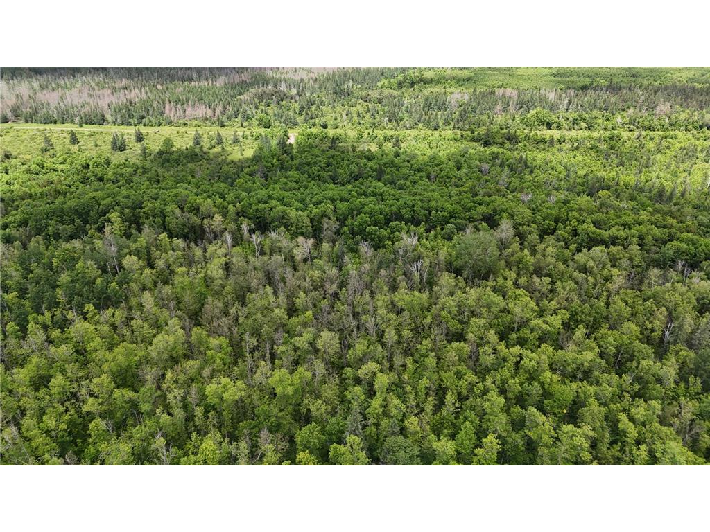 11840 Rice Haven Road Floodwood MN 55736 7093594 image20