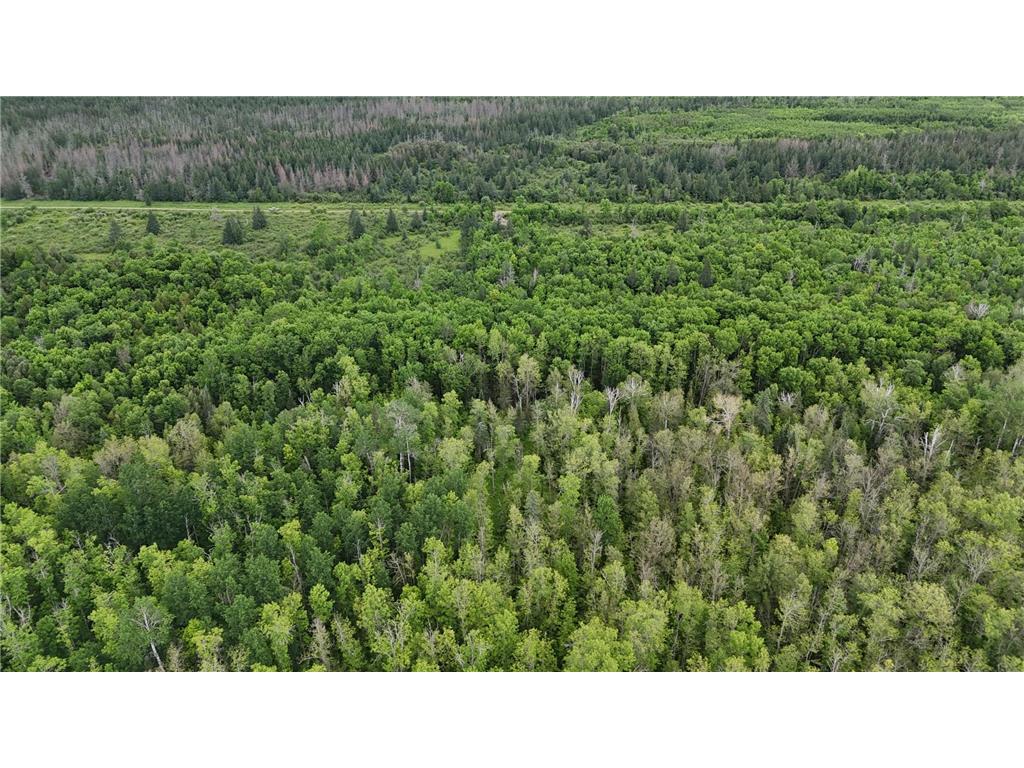 11840 Rice Haven Road Floodwood MN 55736 7093594 image6