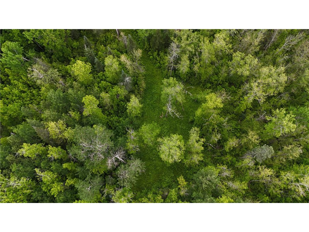 11840 Rice Haven Road Floodwood MN 55736 7093594 image8