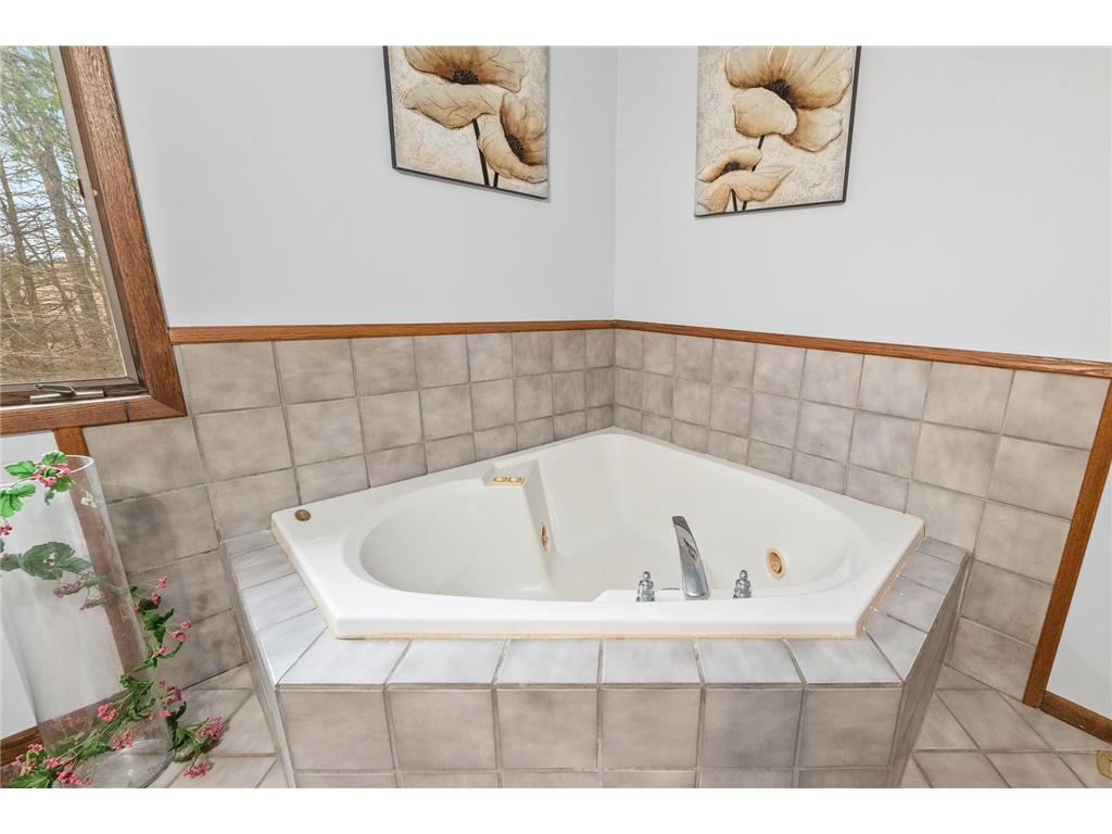 11841 W 250th Street Belle Plaine Twp MN 56011 7046210 image39