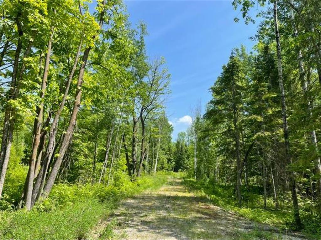 11847 12th Avenue NE Federal Dam MN 56641 7081163 image6