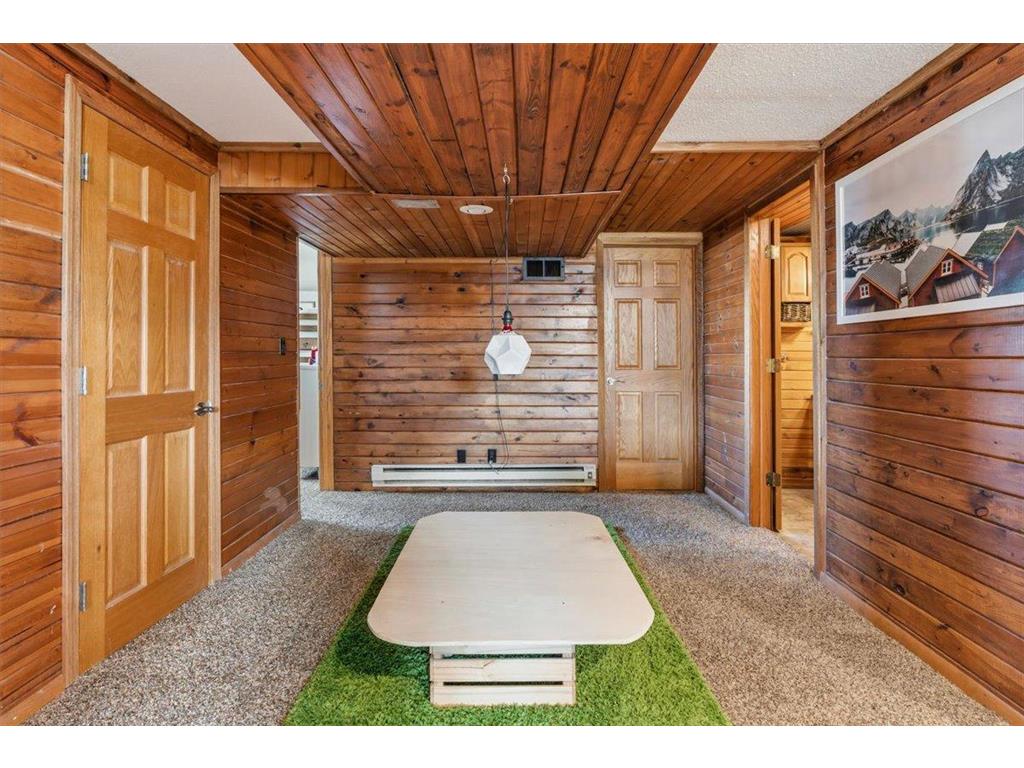 11854 N Shore Drive Spicer MN 56288 7066330 image43