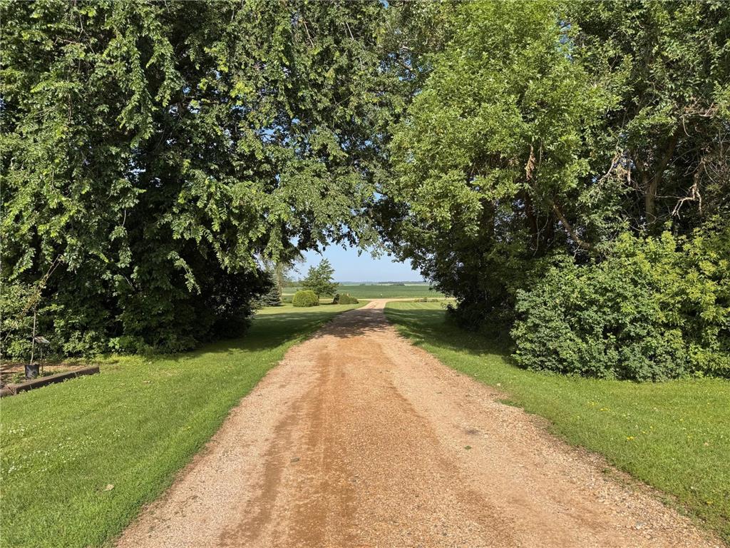 1186 County Road 118 Lake Benton Twp MN 56149 7011459 image5