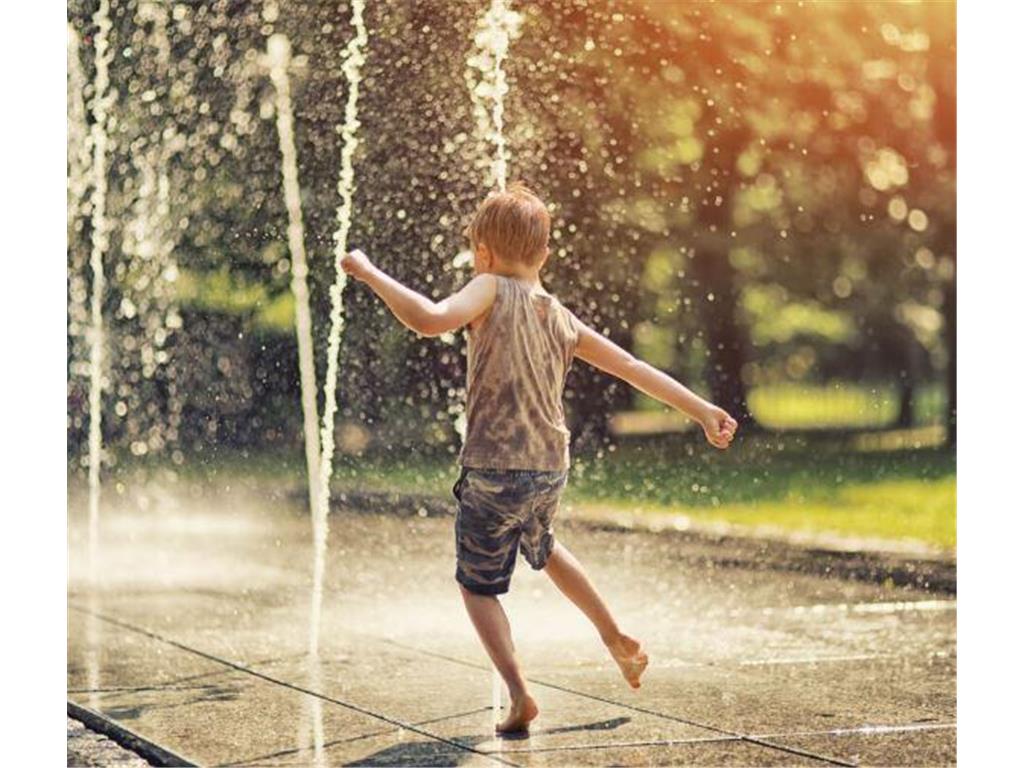 1186 Woods Creek Drive S Delano MN 55328 7056684 image50