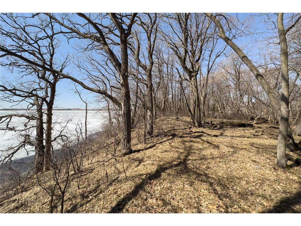 118xx Big Island Road, Ashby, MN, 56309 MLS 6356261 Edina Realty