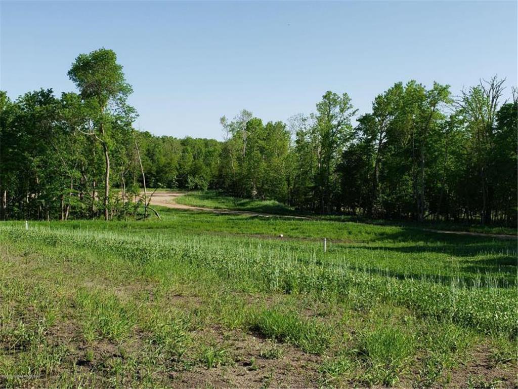 119 Altavista Drive Detroit Lakes MN 56501 6241109 image11