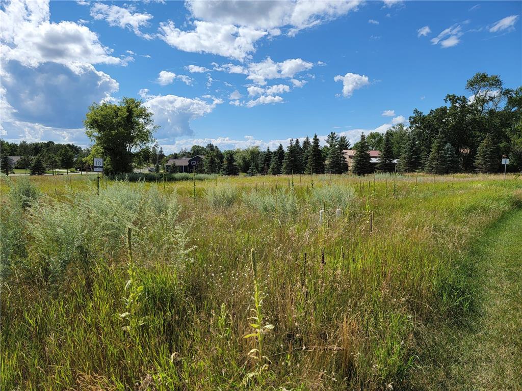 119 Altavista Drive Detroit Lakes MN 56501 6241109 image7