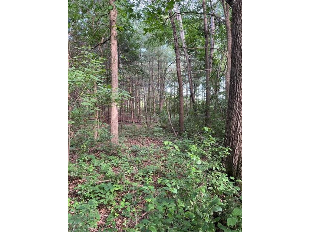 11914 165th Avenue SE Becker Twp MN 55308 7098196 image22