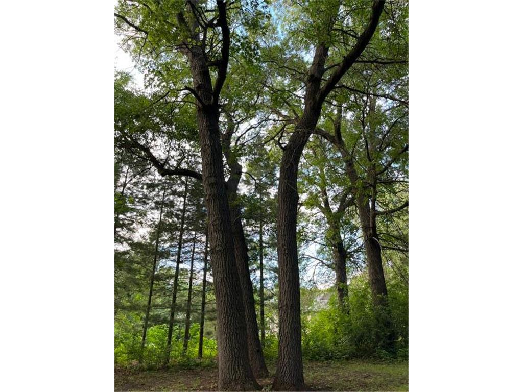 11914 165th Avenue SE Becker Twp MN 55308 7098196 image30
