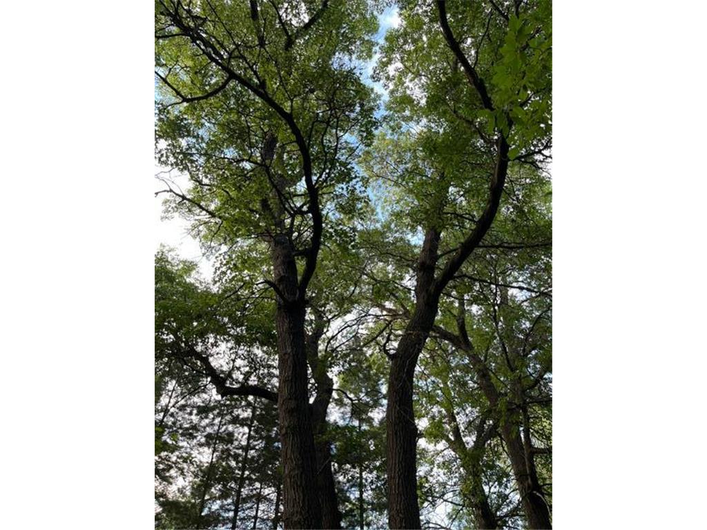 11914 165th Avenue SE Becker Twp MN 55308 7098196 image31