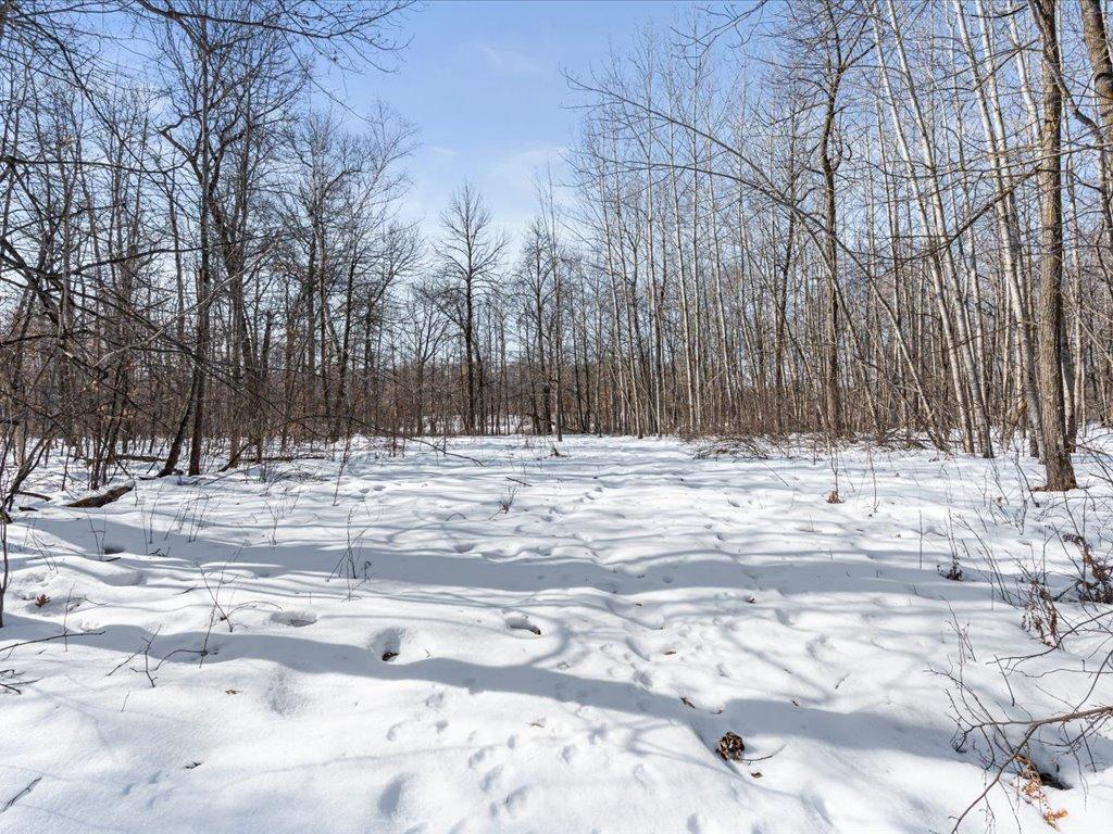 11939 County Road 118 Lake Edward Twp MN 56465 7028281 image50