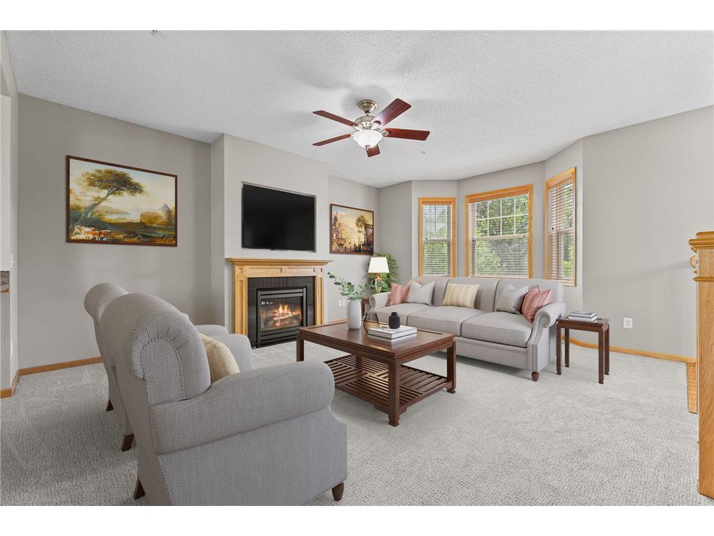 11941 Emery Village Drive N #2101 Champlin MN 55316 7089651 image11