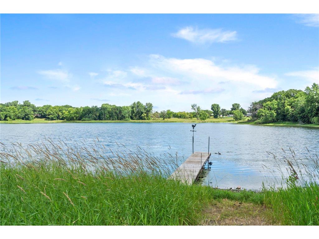 11950 21st Street N Lake Elmo MN 55042 - Downs 7097385 image3
