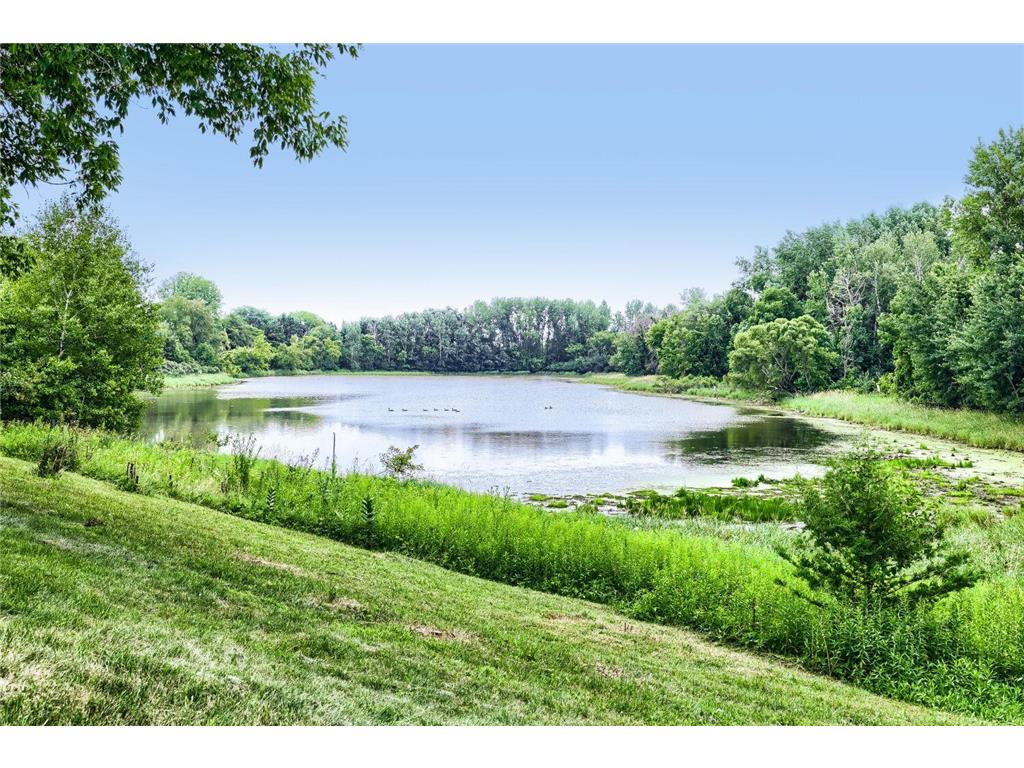 11959 Imperial Avenue N Hugo MN 55038 7115264 image43