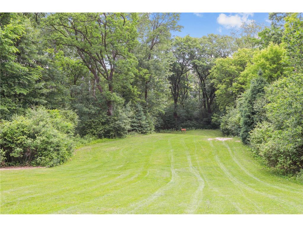 11960 Albavar Path Inver Grove Heights MN 55077 7037861 image58