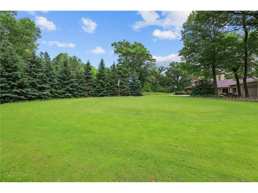 11960 Albavar Path Inver Grove Heights MN 55077 7037861 image60