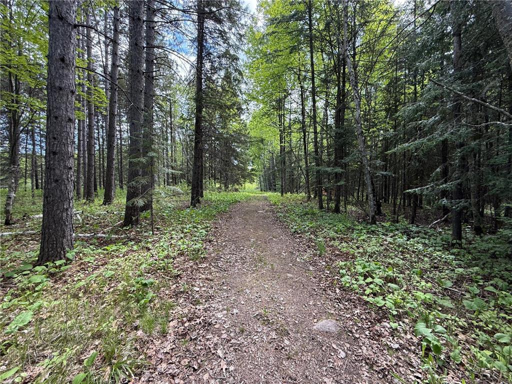 11966 Lindquist Road Hibbing MN 55746 6729317 image21