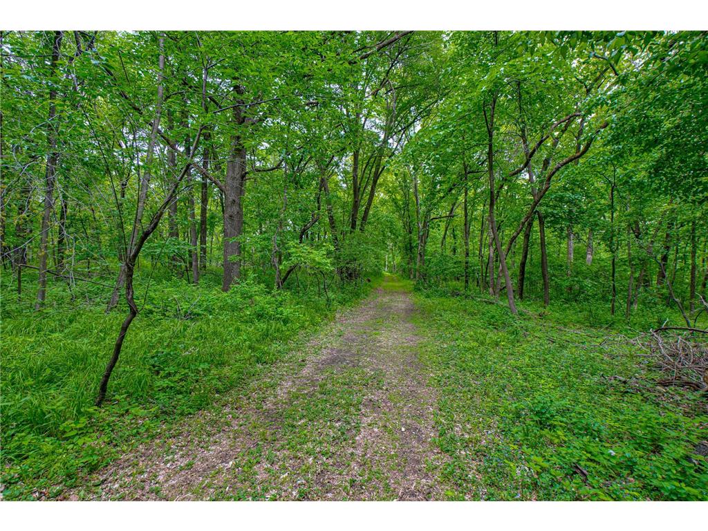 11973 Grey Cloud Trail S Cottage Grove MN 55016 - Mississippi 7044205 image31