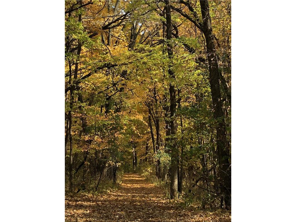 11973 Grey Cloud Trail S Cottage Grove MN 55016 - Mississippi 7044205 image33