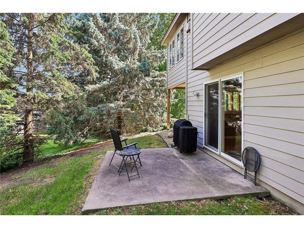 11975 Tiffany Lane Eden Prairie MN 55344 7089825 image47