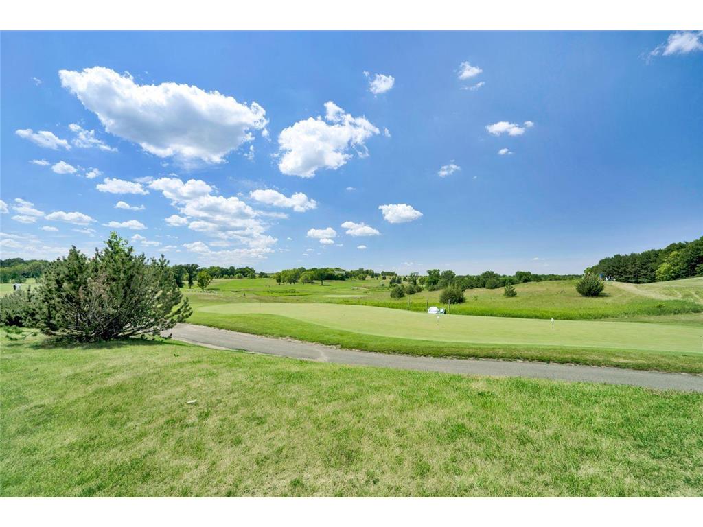 1198 Woods Creek Drive Delano MN 55328 6742585 image52