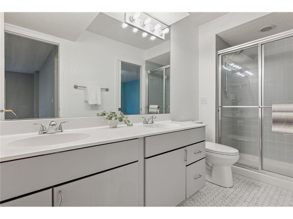 11984 Saint Albans Hollow Drive Minnetonka MN 55305 6773260 image42