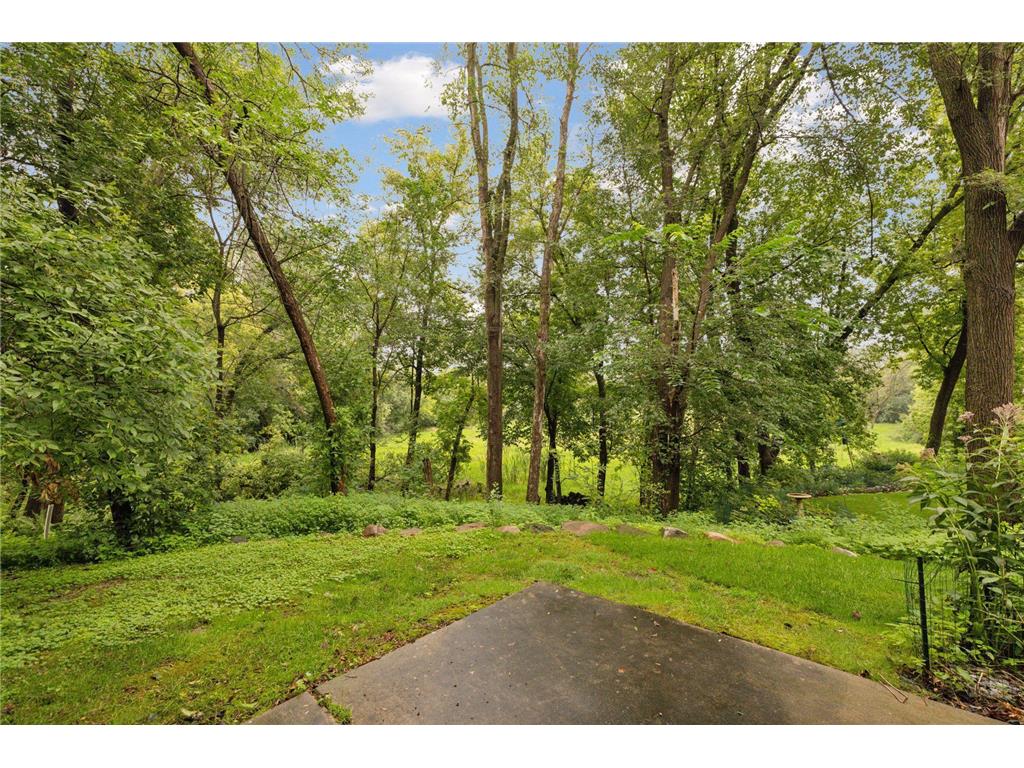 11984 Saint Albans Hollow Drive Minnetonka MN 55305 6773260 image5