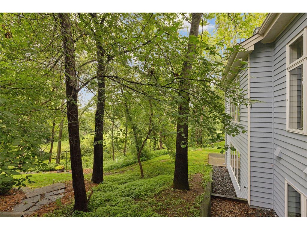 11984 Saint Albans Hollow Drive Minnetonka MN 55305 6773260 image51
