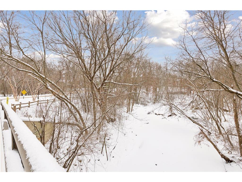 11984 Saint Albans Hollow Drive Minnetonka MN 55305 6773260 image55