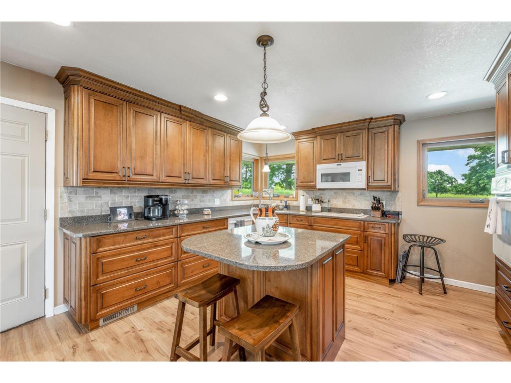 11990 380th Avenue Blue Earth MN 56013 7089938 image3