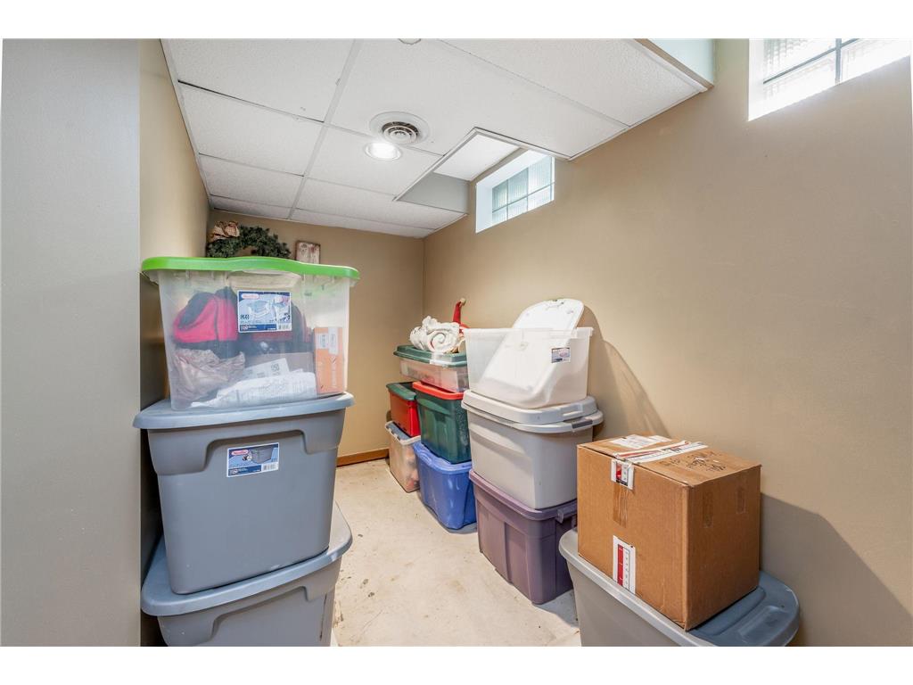 11990 380th Avenue Blue Earth MN 56013 7089938 image30