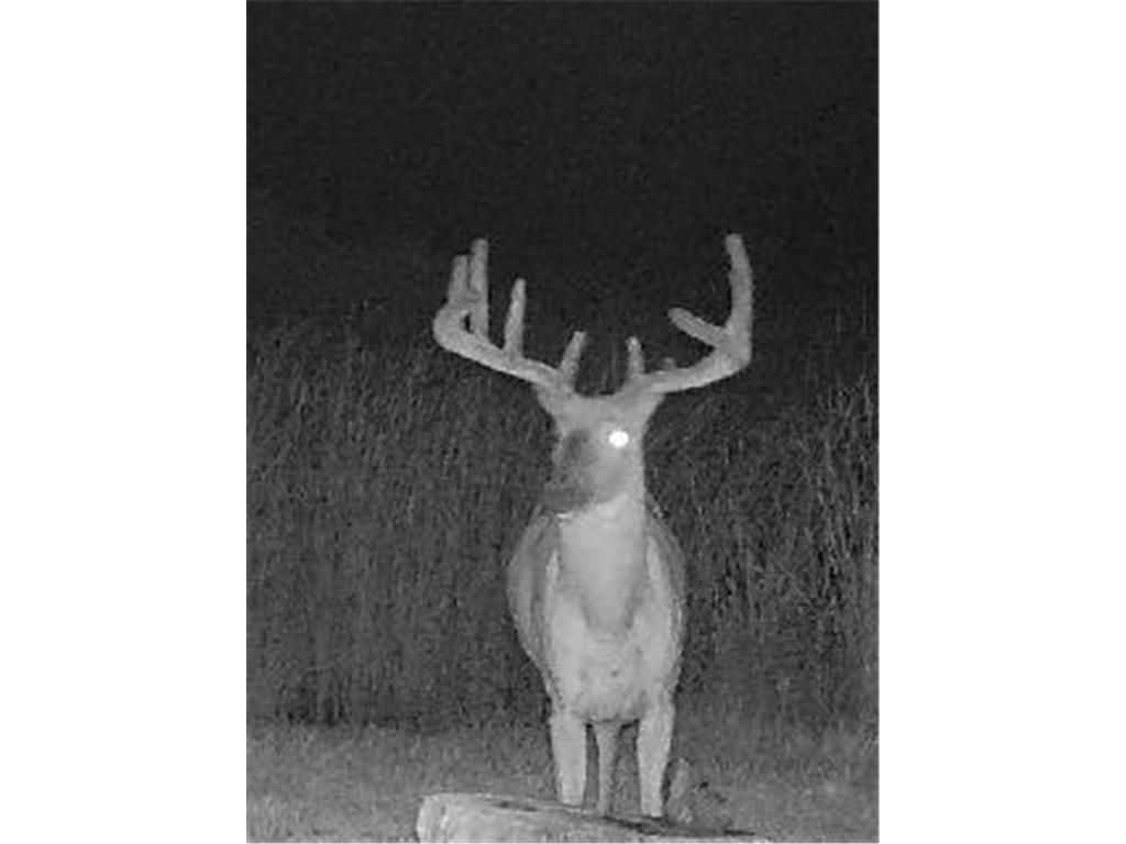 11TBD 630th Street Claremont Twp MN 55924 6770947 image10