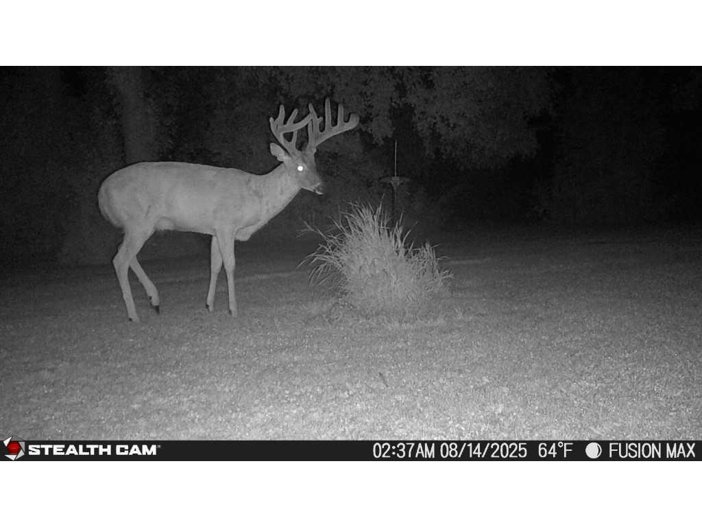 11TBD 630th Street Claremont Twp MN 55924 6770947 image9