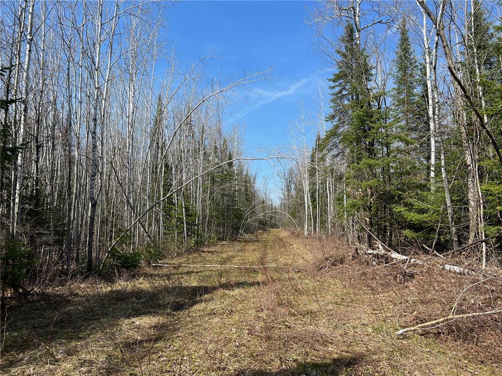 11TBD Gulley Road Maple WI 54854 - Pearson Creek 7012527 image39