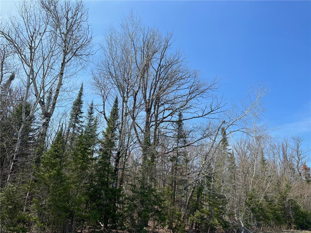 11TBD Gulley Road Maple WI 54854 - Pearson Creek 7012527 image43