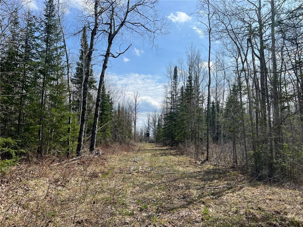 11TBD Gulley Road Maple WI 54854 - Pearson Creek 7012527 image6