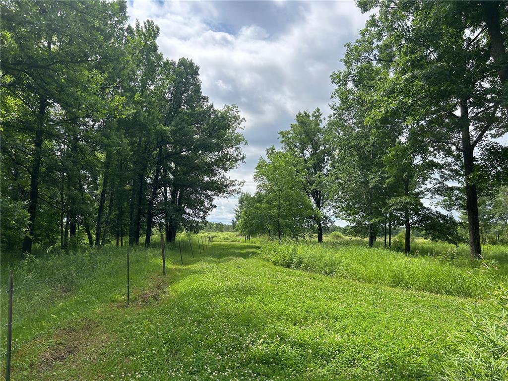 11XXX State Highway 65 Mcgrath MN 56350 7105925 image10