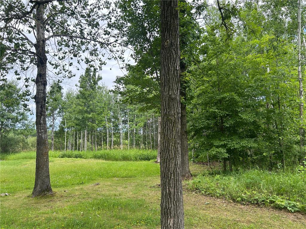 11XXX State Highway 65 Mcgrath MN 56350 7105925 image14