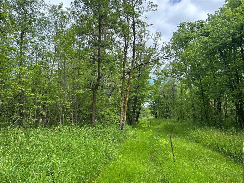 11XXX State Highway 65 Mcgrath MN 56350 7105925 image15