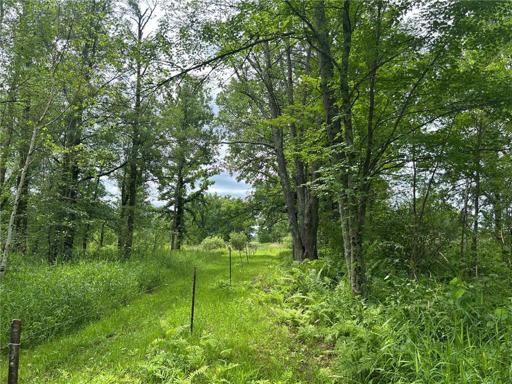11XXX State Highway 65 Mcgrath MN 56350 7105925 image16