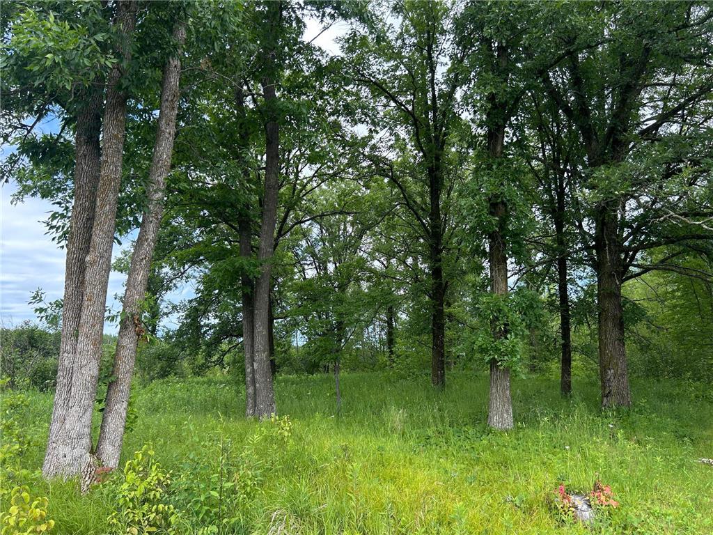 11XXX State Highway 65 Mcgrath MN 56350 7105925 image17