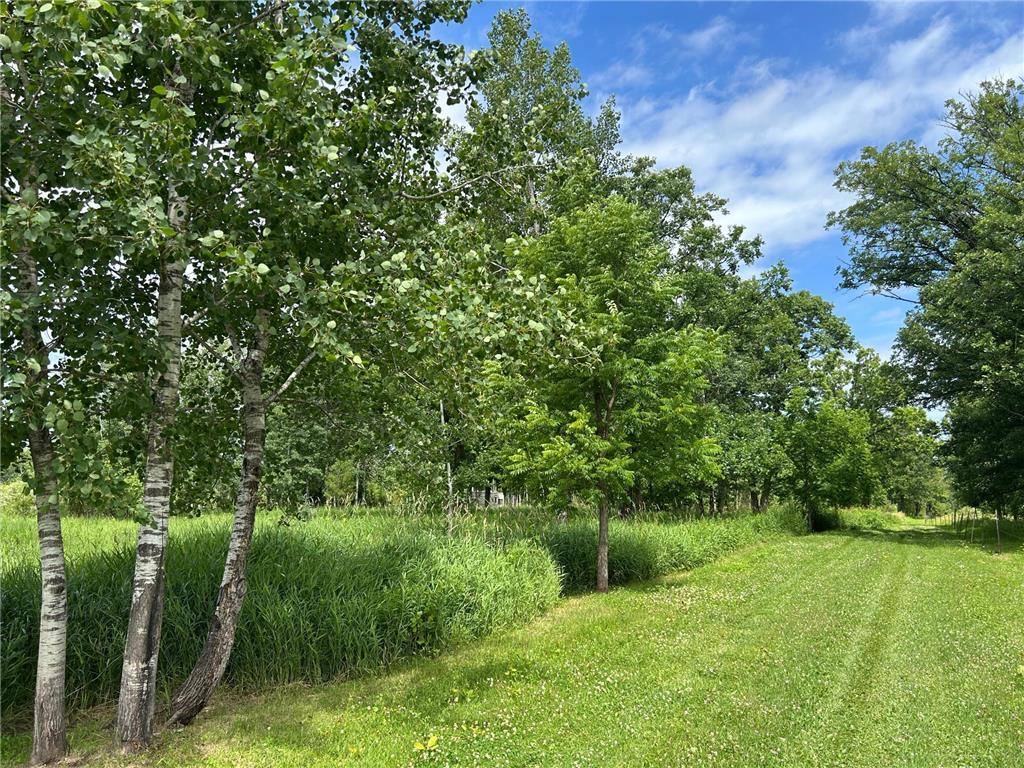 11XXX State Highway 65 Mcgrath MN 56350 7105925 image19