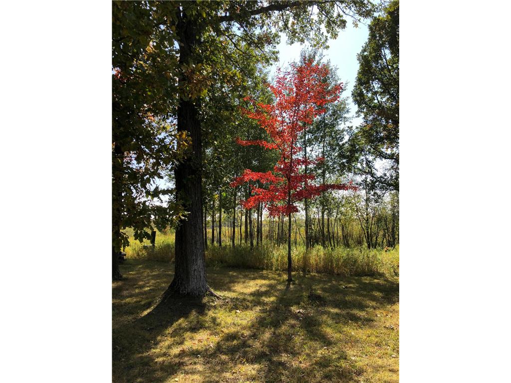 11XXX State Highway 65 Mcgrath MN 56350 7105925 image25