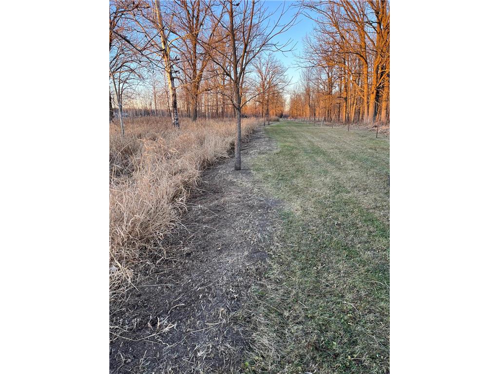 11XXX State Highway 65 Mcgrath MN 56350 7105925 image28