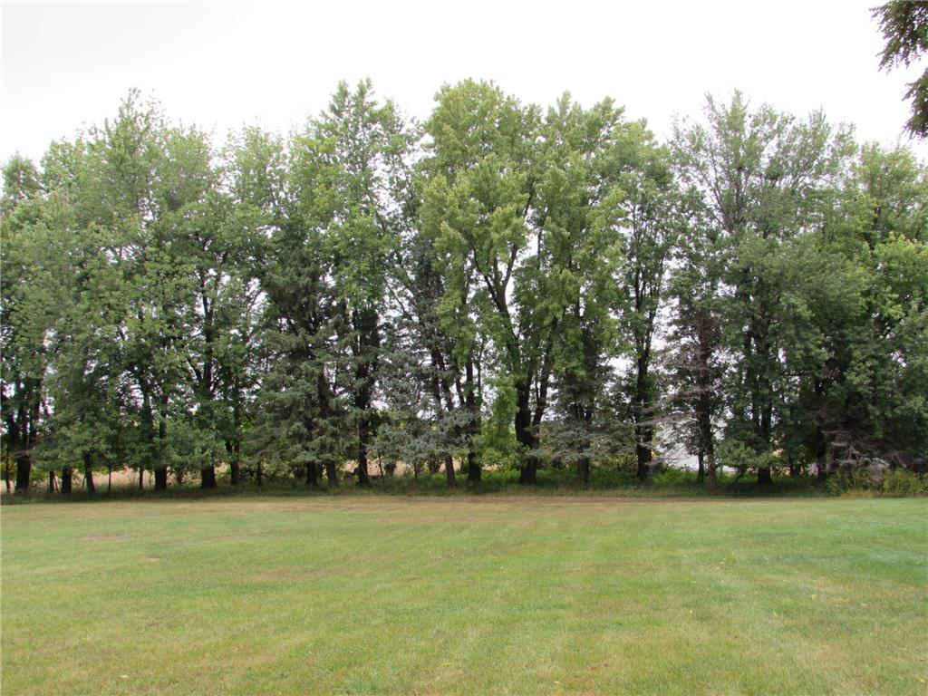 12 Elm Road, East Chain Twp, MN, 56031 MLS 6438593 Edina Realty