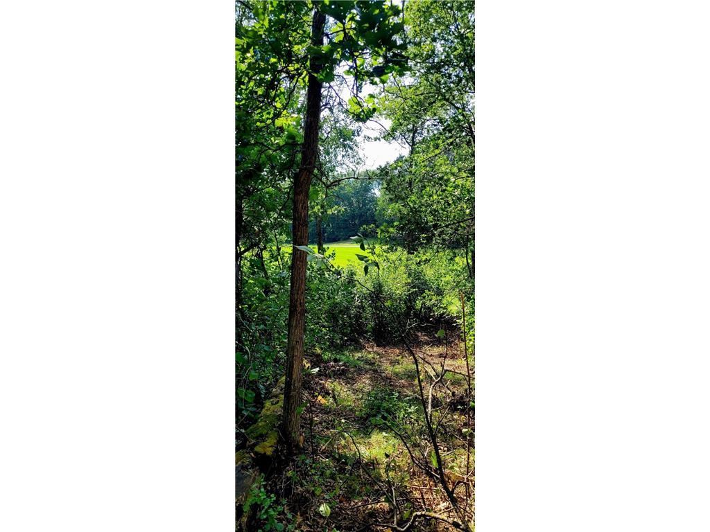 12 Suffolk Circle Breezy Point MN 56472 6739623 image10