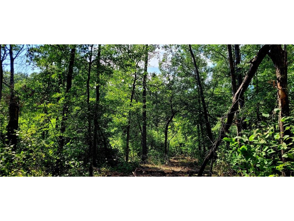 12 Suffolk Circle Breezy Point MN 56472 6739623 image13