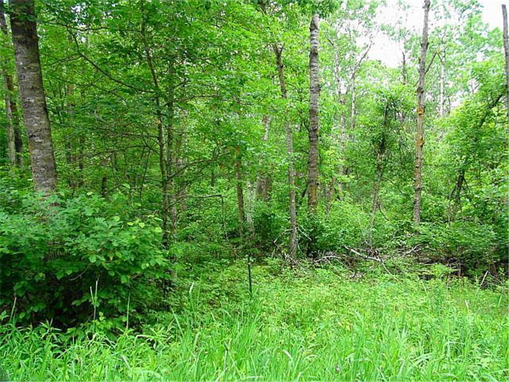 12 Suffolk Circle Breezy Point MN 56472 6739623 image26