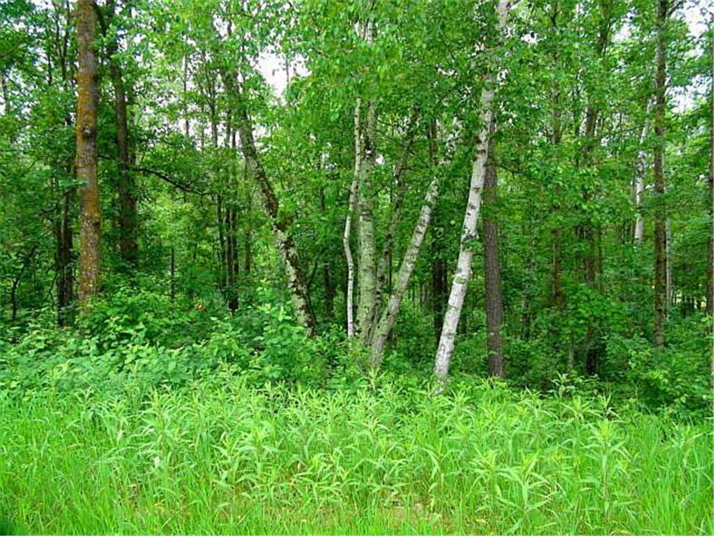 12 Suffolk Circle Breezy Point MN 56472 6739623 image27